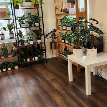 Leaf and Moss - Nurseries & Gardening Near Me - Occoquan, Virginia Leaf and Moss - Nurseries & Gardening Near Me - Occoquan, Virginia