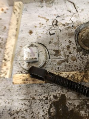 Shawn's Botany and Lanscaping