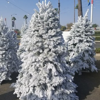 Tree Kings Christmas Tree Lot - Christmas Trees Near Me - Buena Park, California