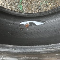 Route 6 Auto Mall KIA - Improper patch