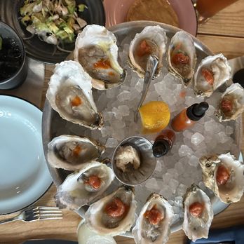 Plank Provisions - Oysters, ceviche, Cucumber Collins - Seafood Near Me - Fort Worth, Texas Plank Provisions - Oysters, ceviche, Cucumber Collins - Seafood Near Me - Fort Worth, Texas