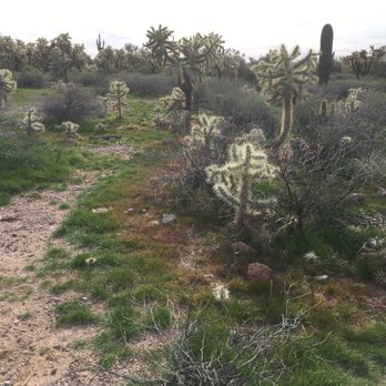 Lost Dutchman State Park - Parks Near Me - Apache Junction, Arizona Lost Dutchman State Park - Parks Near Me - Apache Junction, Arizona