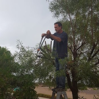 Michael's Tree Service - Michael Walking & Trimming On Top Of My Trees - Landscaping Near Me