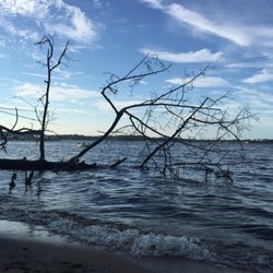 Spriggs Farm Park - Views from the beach/launch