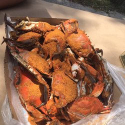 Ormond Crab & Seafood Market - Dozen jumbo crabs