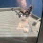 Photo of Collision Fix Unlimted