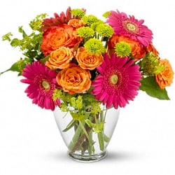 Rainbow Flowers