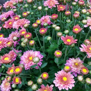 The Collective - Flowers outside the store - Antiques Near Me - Atlanta, Georgia