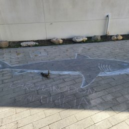 Chalk shark and a squirrel Chalk shark and a squirrel