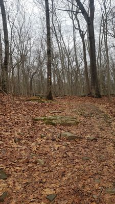 Cranberry Lake Preserve by null