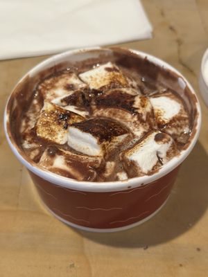 Rigor Hill Market by null