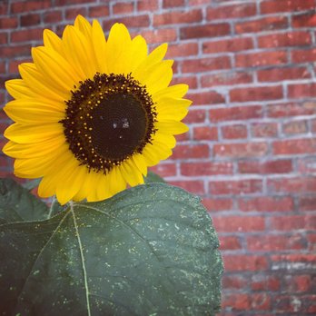 Upper Cup Coffee - Coffee & Tea Near Me - Columbus, Ohio