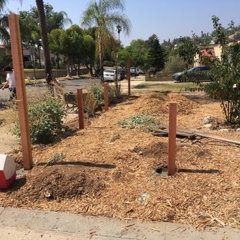Hogan Fence - Setting the posts - they worked around my landscaping - Fences & Gates Near Me - Pasadena, California