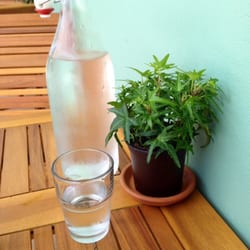 Fruits & Roots Juice Bar + Vegan Cafe