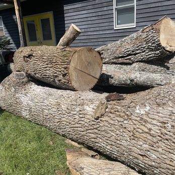Happy stump tree service - The first two trees - Tree Services Near Me - Ellenville, New York Happy stump tree service - The first two trees - Tree Services Near Me - Ellenville, New York