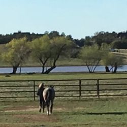 American Ranch Barn - Zee & Me