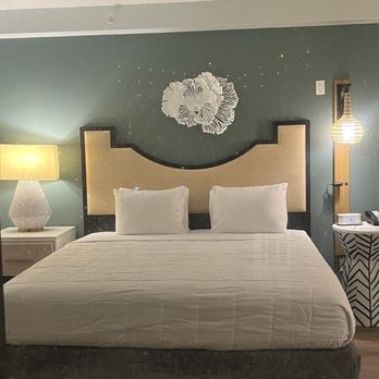 The Beachcomber - Room - Hotels Near Me - St. Pete Beach, Florida