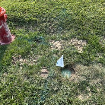 Diversified Services - a red fire hydrant in the grass - Landscaping Near Me - Highland, Illinois Diversified Services - a red fire hydrant in the grass - Landscaping Near Me - Highland, Illinois