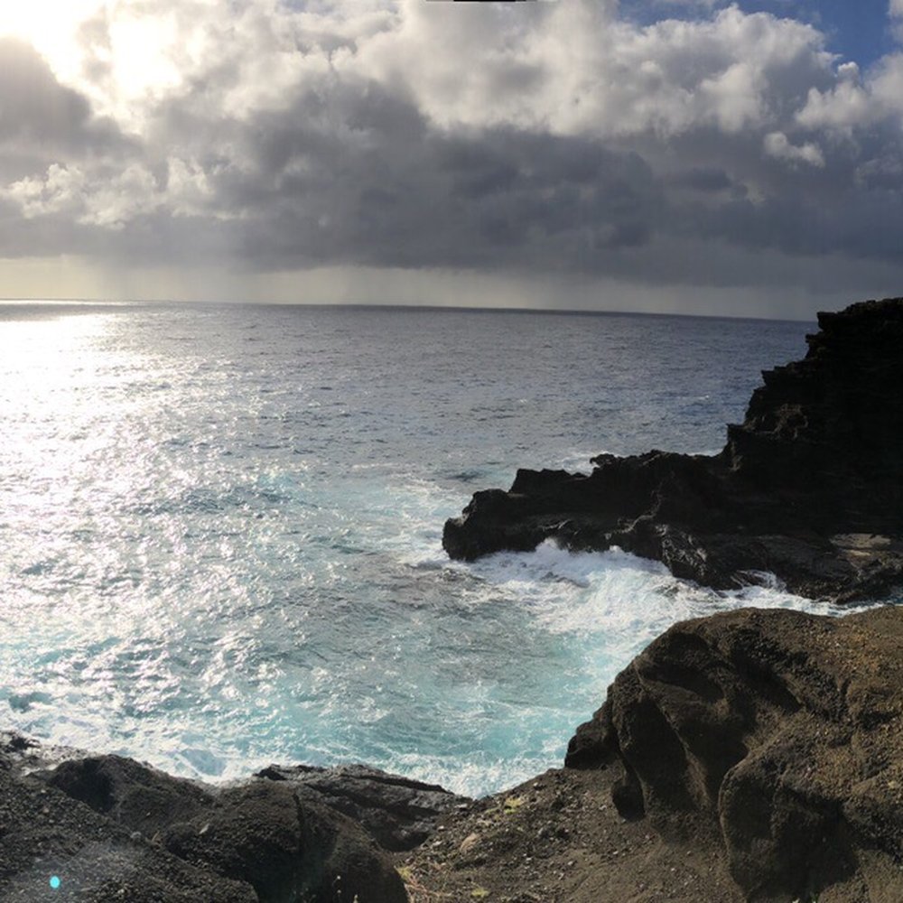Go Tours Hawaii - Bus Tours Near Me - Honolulu, Hawaii