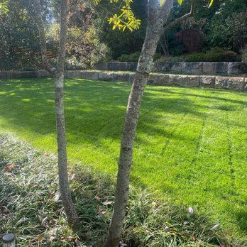 Pratt's Lawn & Landscape - Lawn Care and Landscape Management. - Lawn Services Near Me - Georgetown, Kentucky