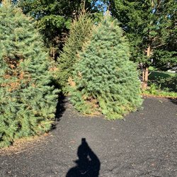 Merwine Farms & Nursery