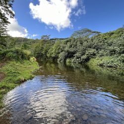Wailua Kayak & Canoe