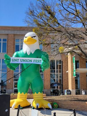 University of North Texas by null