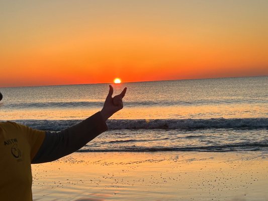 Main Beach Park by null