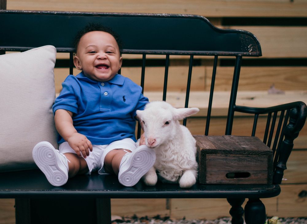 RICK’S FURNITURE Updated August 2024 39 Photos 605 S Jackson St