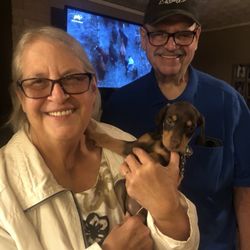 Bark Bath and Beyond - Debbie with her baby dobby who now weights 120lbs