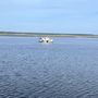 Photo of Cumberland Island Ferry