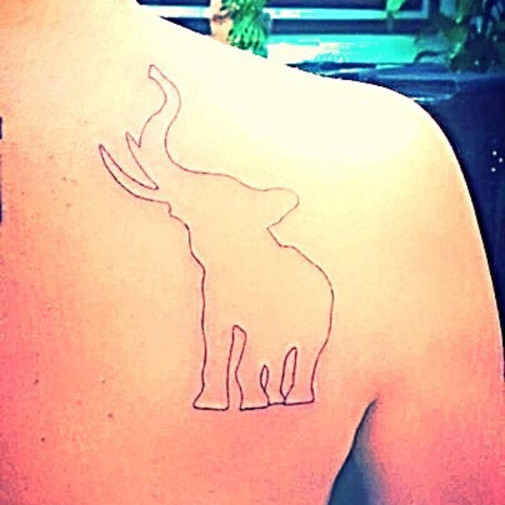 Outline of an Elephant by Thomas. Outline of an Elephant by Thomas.