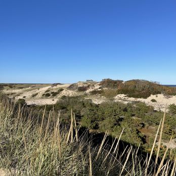 Art's Dune Tours - Tours Near Me - Provincetown, Massachusetts