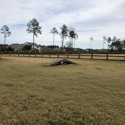 Twenty Mile Dog Park - Ramps for the big dogs