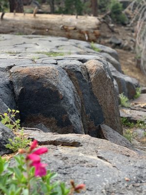 Devils Postpile National Monument by null