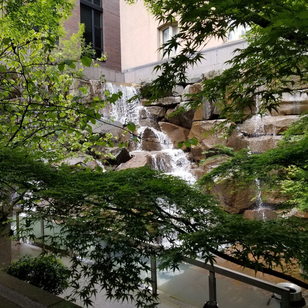 Waterfall Garden - So lush, the sound of water, the smell. - Parks Near Me - Seattle, Washington Waterfall Garden - So lush, the sound of water, the smell. - Parks Near Me - Seattle, Washington