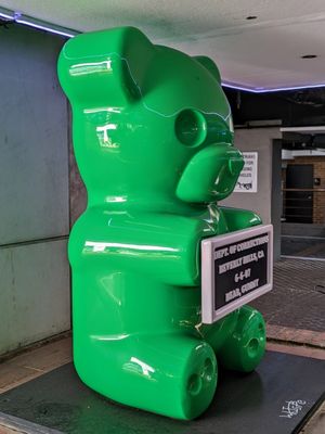 The Rodeo Collection by null