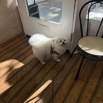 LA Pet Home - Pet Stores Near Me - Pasadena, California