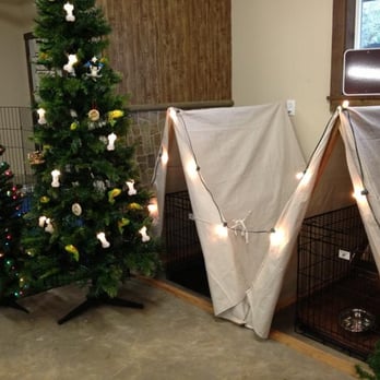 Camp Kiss A Pet - Holiday tent camping at Kiss A Pet - Pet Sitting Near Me - Newberg, Oregon Camp Kiss A Pet - Holiday tent camping at Kiss A Pet - Pet Sitting Near Me - Newberg, Oregon