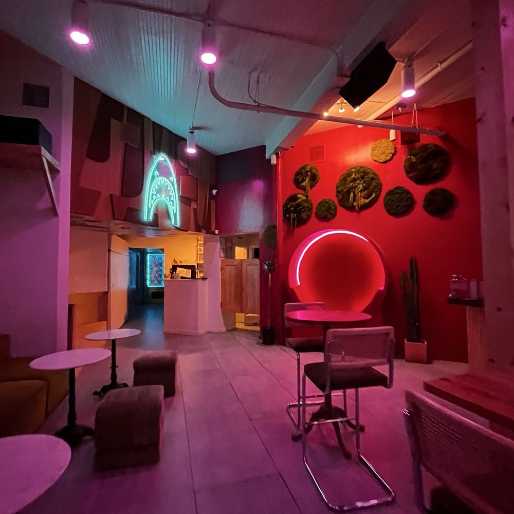 Pink Shark - The vibes - Music Venues Near Me - San Antonio, Texas Pink Shark - The vibes - Music Venues Near Me - San Antonio, Texas