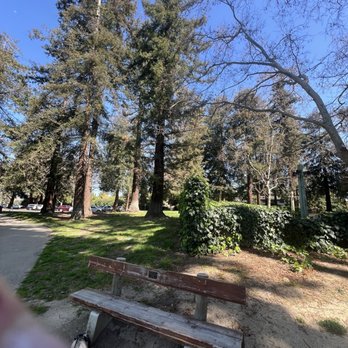 Cuesta Park - Redwoods - Parks Near Me - Mountain View, California