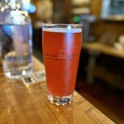 Devil's Elbow Ale & Smoke House - Half pint watermelon sour