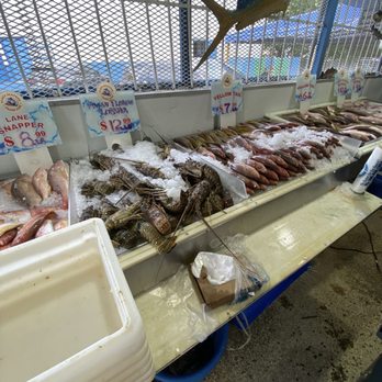 Plaza Seafood Market - Seafood Markets Near Me - Miami, Florida Plaza Seafood Market - Seafood Markets Near Me - Miami, Florida