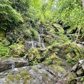 Roaring Fork Motor Nature Trail - Pretty little stream running over the mountain - Hiking Near Me