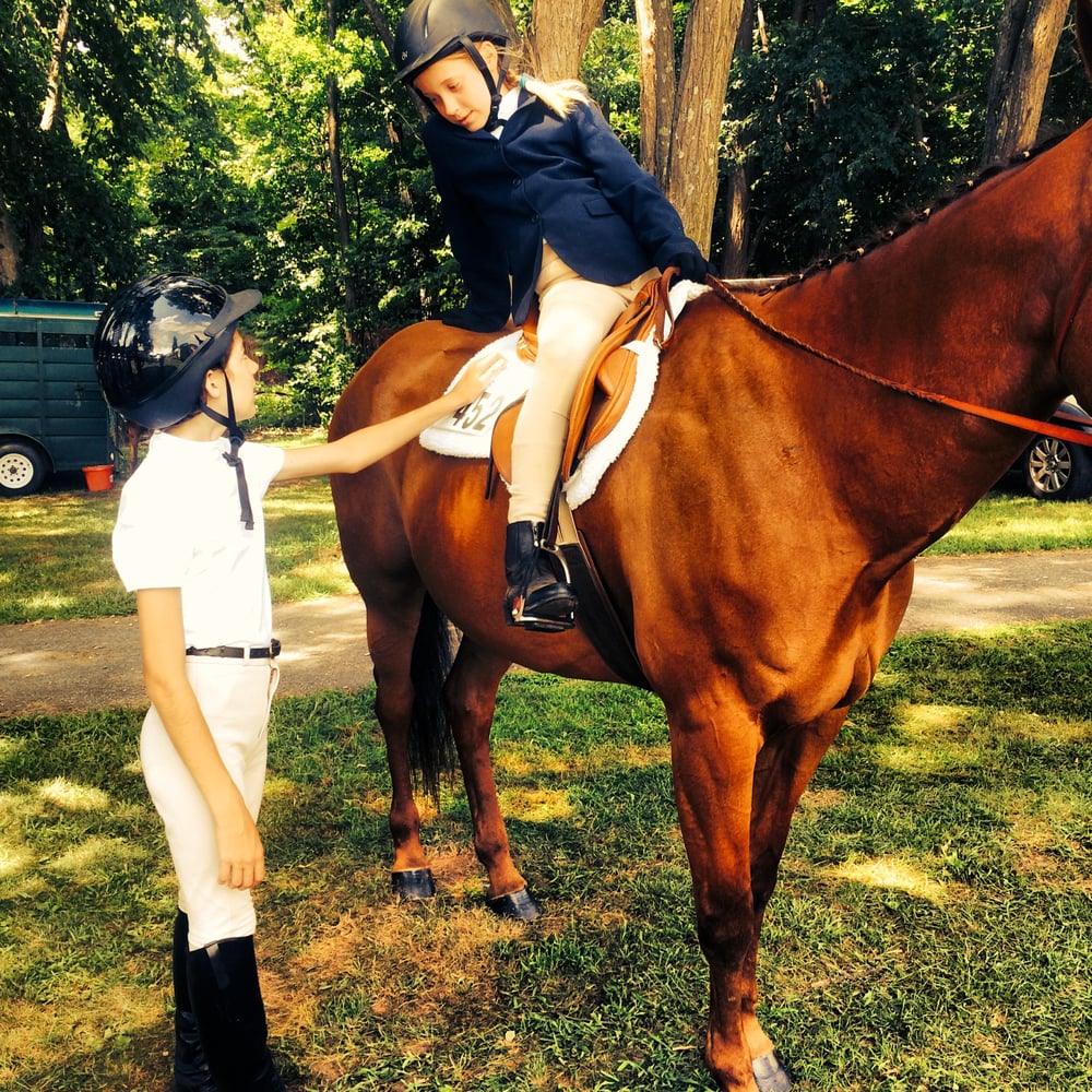 Free Rein Farm - equestrian in Saugerties, NY