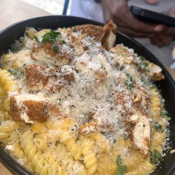 Fork & Hen - Mac n cheese - Soul Food Near Me - Sarasota, Florida Fork & Hen - Mac n cheese - Soul Food Near Me - Sarasota, Florida