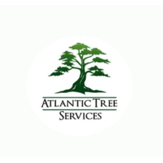 Atlantic Tree Services - tree service in Matthews, NC