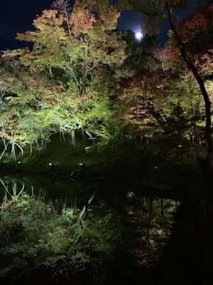 Kōdaiji Temple by null