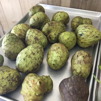 Cococane - Soursop makes a yummy smoothie - Fruits & Veggies Near Me - Garden Grove, California Cococane - Soursop makes a yummy smoothie - Fruits & Veggies Near Me - Garden Grove, California