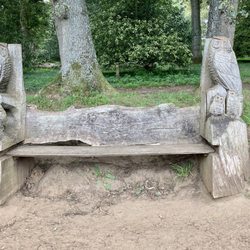 Winkworth Arboretum - Owl seat
